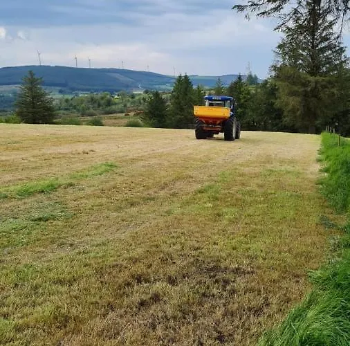 Yellow Heights Casa vacanze